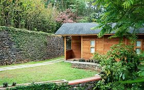 Misty Mountain Experience